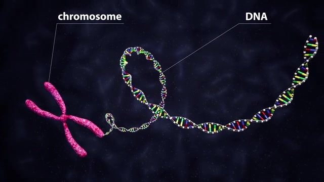 Mechanism of Carcinogenesis -- Life Sciences animation
