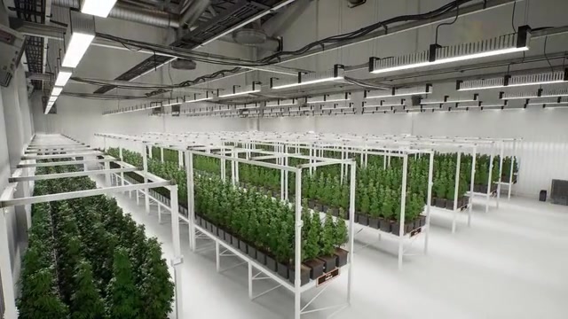 Indoor Farming Control System -- Agriculture & AgTech animation